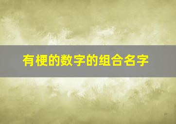 有梗的数字的组合名字