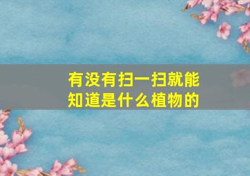 有没有扫一扫就能知道是什么植物的