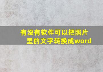 有没有软件可以把照片里的文字转换成word