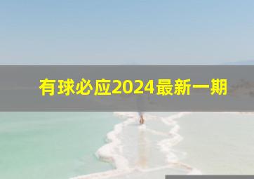 有球必应2024最新一期