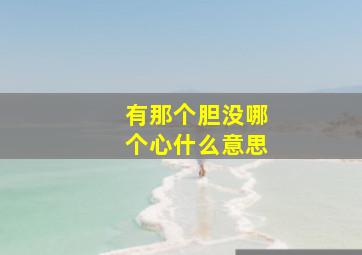 有那个胆没哪个心什么意思