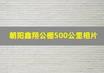 朝阳鑫翔公棚500公里相片