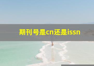 期刊号是cn还是issn