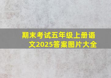 期末考试五年级上册语文2025答案图片大全