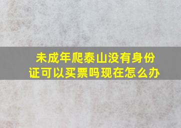 未成年爬泰山没有身份证可以买票吗现在怎么办