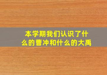 本学期我们认识了什么的曹冲和什么的大禹