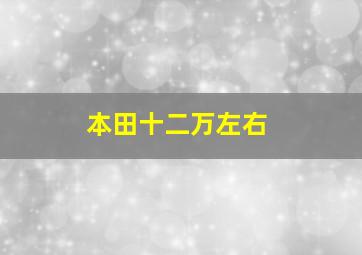 本田十二万左右