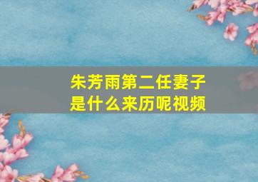 朱芳雨第二任妻子是什么来历呢视频