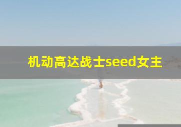 机动高达战士seed女主