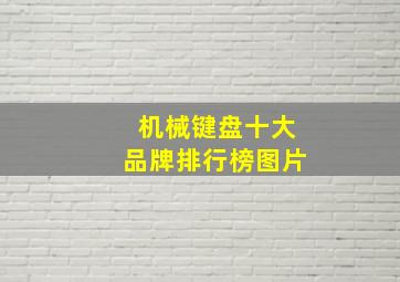 机械键盘十大品牌排行榜图片