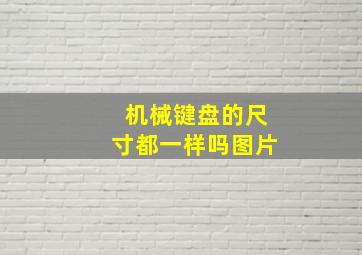 机械键盘的尺寸都一样吗图片