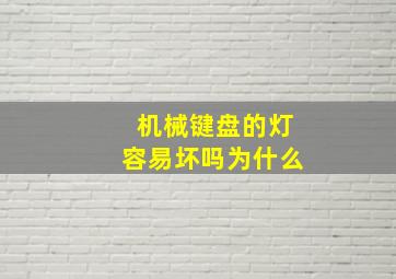 机械键盘的灯容易坏吗为什么