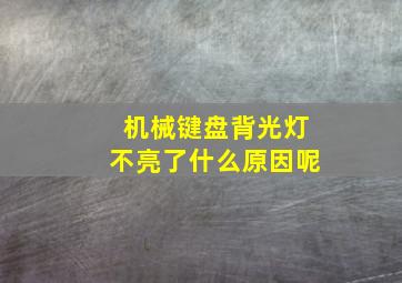 机械键盘背光灯不亮了什么原因呢