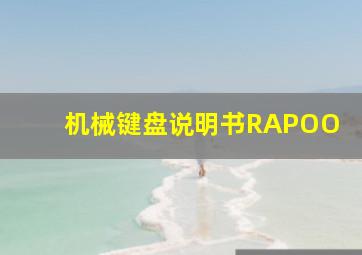 机械键盘说明书RAPOO