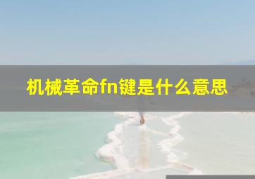 机械革命fn键是什么意思