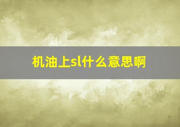 机油上sl什么意思啊