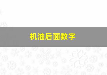 机油后面数字