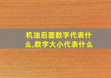 机油后面数字代表什么,数字大小代表什么