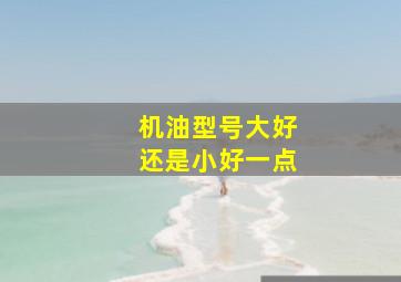 机油型号大好还是小好一点