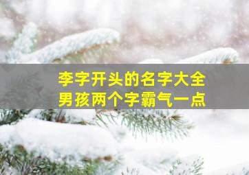 李字开头的名字大全男孩两个字霸气一点