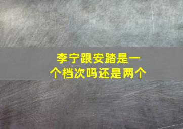 李宁跟安踏是一个档次吗还是两个