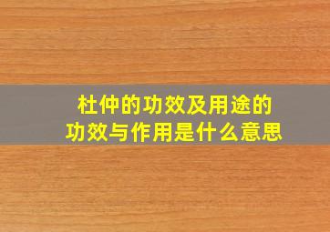 杜仲的功效及用途的功效与作用是什么意思