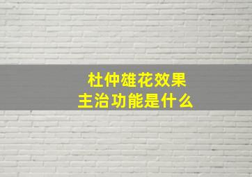 杜仲雄花效果主治功能是什么