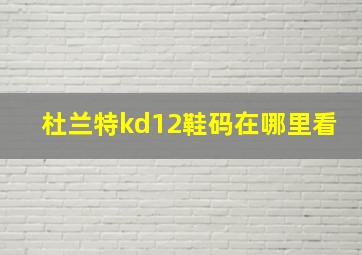 杜兰特kd12鞋码在哪里看