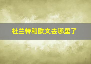 杜兰特和欧文去哪里了