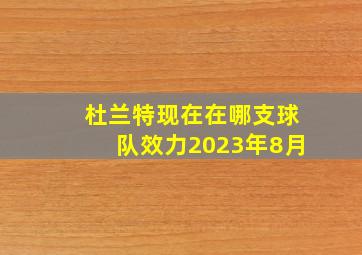 杜兰特现在在哪支球队效力2023年8月