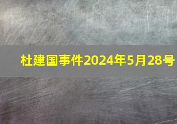 杜建国事件2024年5月28号