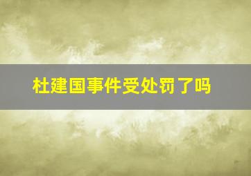 杜建国事件受处罚了吗