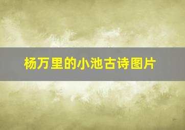 杨万里的小池古诗图片