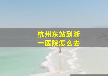 杭州东站到浙一医院怎么去