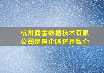 杭州涌金数据技术有限公司是国企吗还是私企