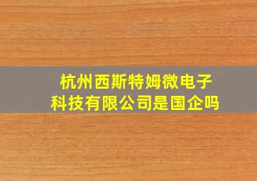 杭州西斯特姆微电子科技有限公司是国企吗