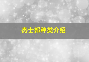 杰士邦种类介绍