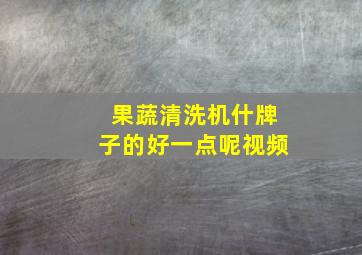 果蔬清洗机什牌子的好一点呢视频