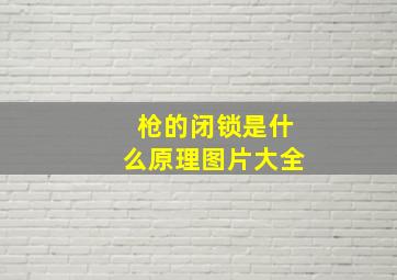 枪的闭锁是什么原理图片大全