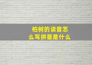 柏树的读音怎么写拼音是什么