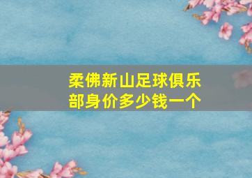 柔佛新山足球俱乐部身价多少钱一个