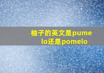 柚子的英文是pumelo还是pomelo