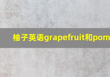 柚子英语grapefruit和pomelo