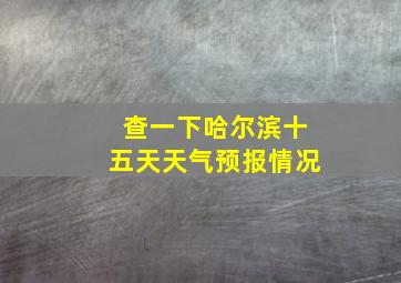 查一下哈尔滨十五天天气预报情况