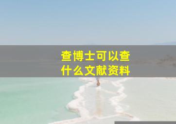 查博士可以查什么文献资料