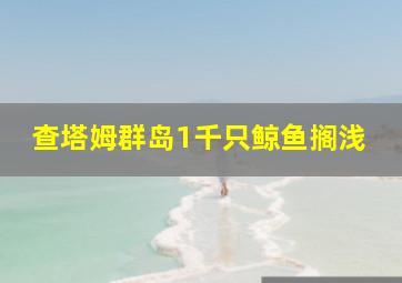 查塔姆群岛1千只鲸鱼搁浅