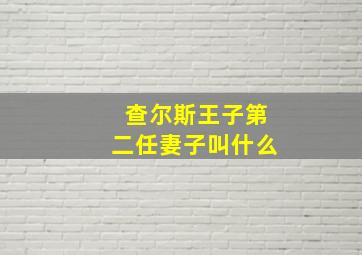 查尔斯王子第二任妻子叫什么