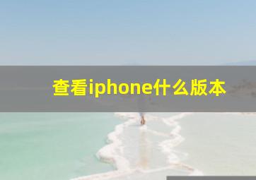 查看iphone什么版本