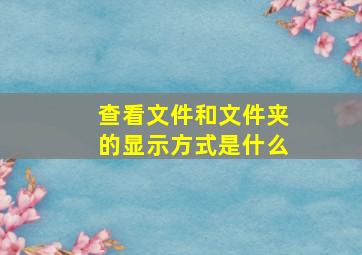 查看文件和文件夹的显示方式是什么