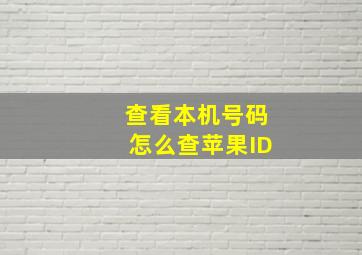 查看本机号码怎么查苹果ID